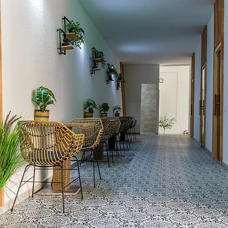 Forest Буковель